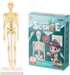 Kids Science Bone Assembly Kit