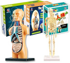Kids Science Bone Assembly Kit