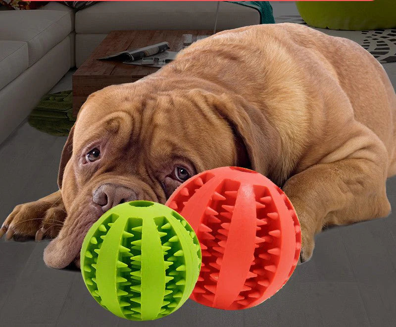 Bite Resistant Dog Chew Toy